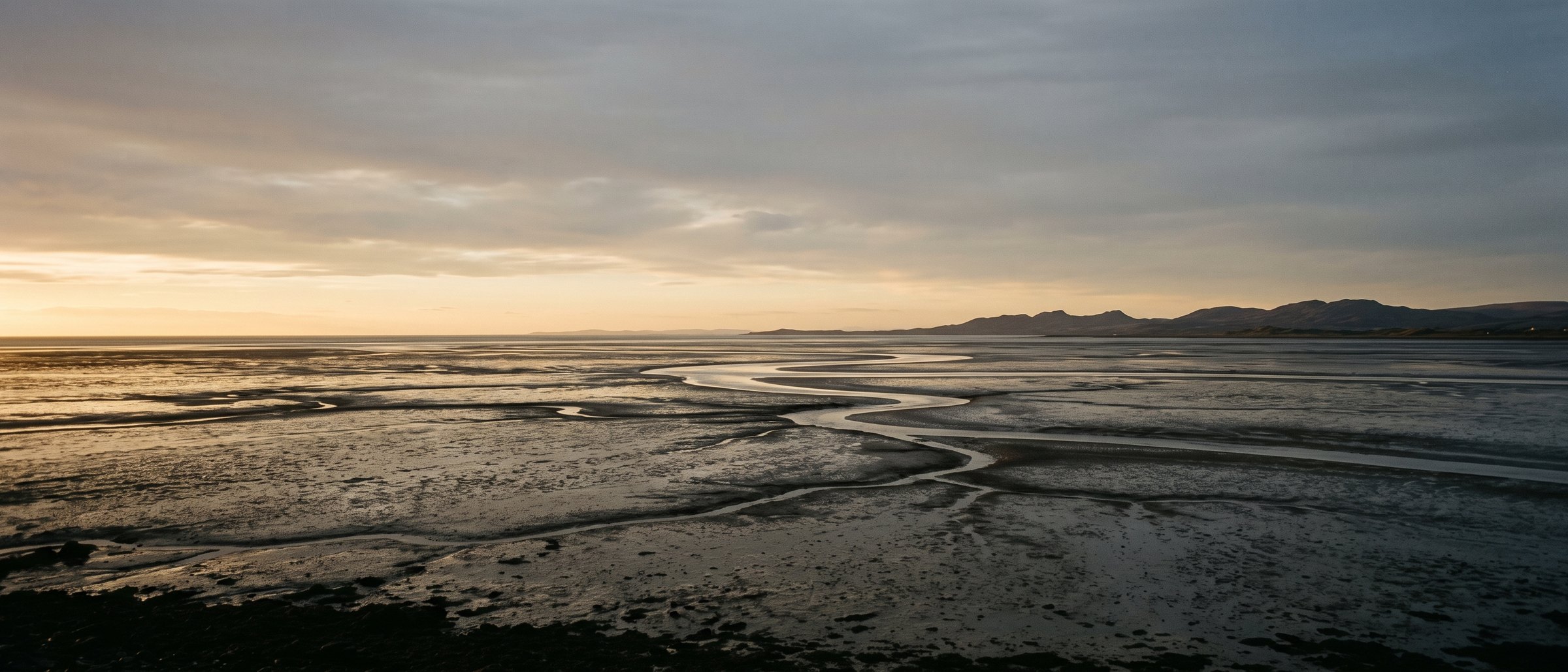 The Dyfi estuary at dusk seen from the headland above Marram: the tide far out across four miles of ribbed sand, water channels catching the last light, hills low on the horizon.